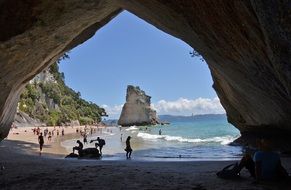 beach Cove New Zealand