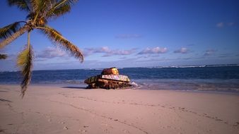 Flamenco Beach Puerto