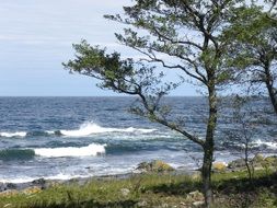 strikingly beautiful Baltic Sea Coast