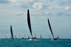Sailing Race on sea