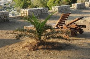 Sun Lounger beside of Palm on Sand