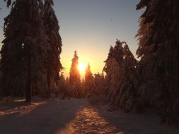 Wintry Sunset