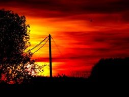 Landscape with the silhouettes in the afterglow
