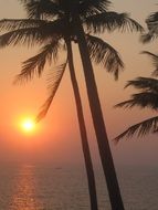 India Goa sunset