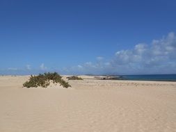 Paradise with the beach of the ocean