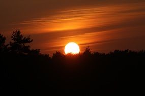 bright sunset over the trees