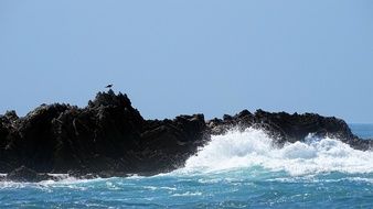 Wave Stone Beach Ocean