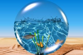 Clipart of water Ball