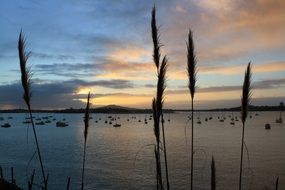 landscape of boats on a lake at dusk in new zealand