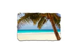 Button Caribbean