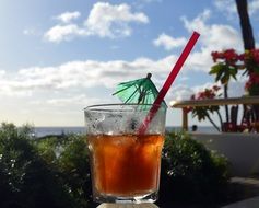 Mai Tai cocktail Hawaii Tropical