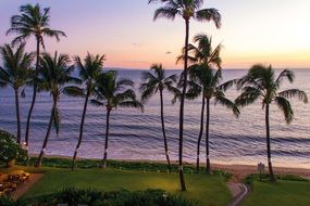 Sunset Palms Beach