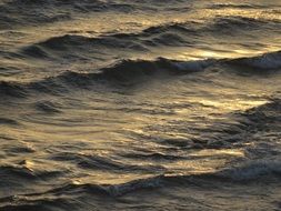 cold Wave