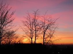 delightful Evening Sun