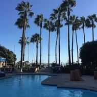 landscape of palm trees near the swimming Pool