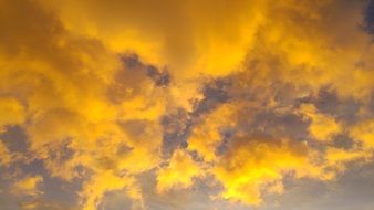 Golden Clouds on a sky