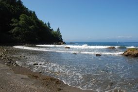 exceptional Coast Beach