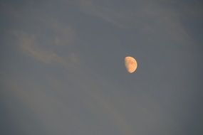 bright half moon on gray sky