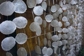 white Shells Beach