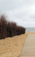 Dunes Coast
