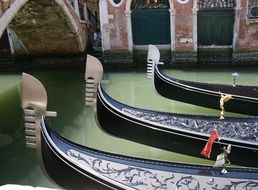 delightful Gondolas Venice