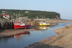 Low Tide, bright Fishing Boats on ground at pier, canada, new-brunswick