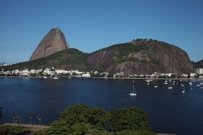 Landscape of Sugar Loaf in Brazil