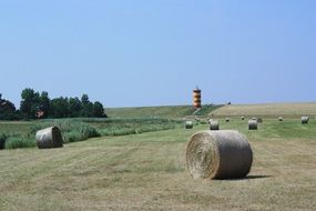 straw bales on a field in summer