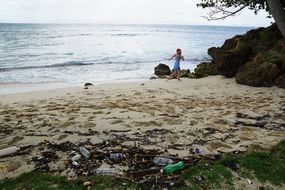 Pollution Ecology