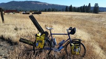 Bicycle and a field of wheat