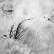 Black And White Sand drawing