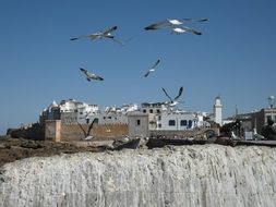 Essaouira Morocco Coast