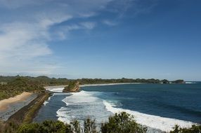 vegetation along the tropical coast