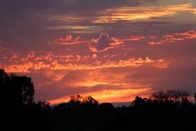 landscape of fiery sunset over the treetops