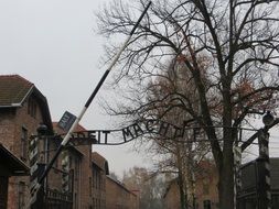 barrier in Auschwitz