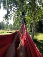 colored birch hammock