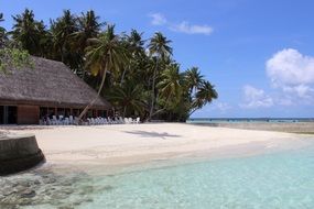 picturesque beach in the Maldives