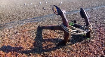 anchor with a rope on the beach