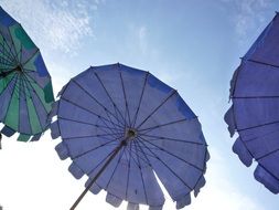 Parasol Beach, bottom view