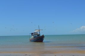 fishing boat near the beach in Bahia