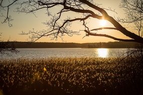 Neubukow Water Sunset