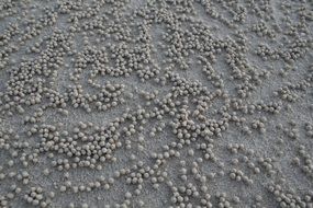 Beach Balls Sand