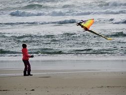 Flying kite in a sky