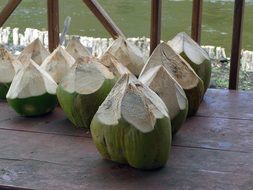 mesmerizing Coconut, cuba, caribbean