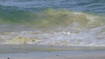 surf on the Baltic coast close up