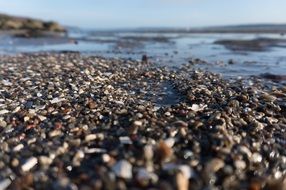 unusual beauty Pebbles Sea