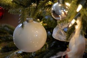 White Christmas Ball on fir branch