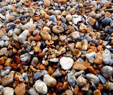 stones of different colors on the beach