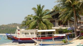fishing boats among palm trees on the tropical coast
