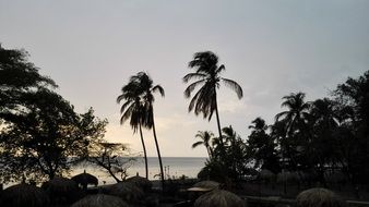 incredibly beautiful Palmas Beach